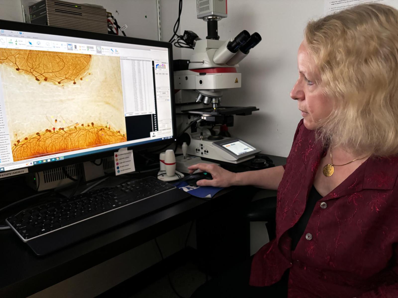 Phyllis Faust looking at brain cells on a computer screen