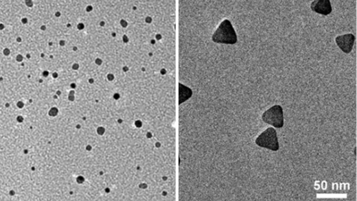 Silver Nanoclusters Inhibit DNA Replication | Columbia University ...